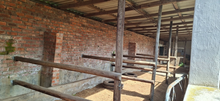 Commercial Property for Sale in Meisies Halt Eastern Cape